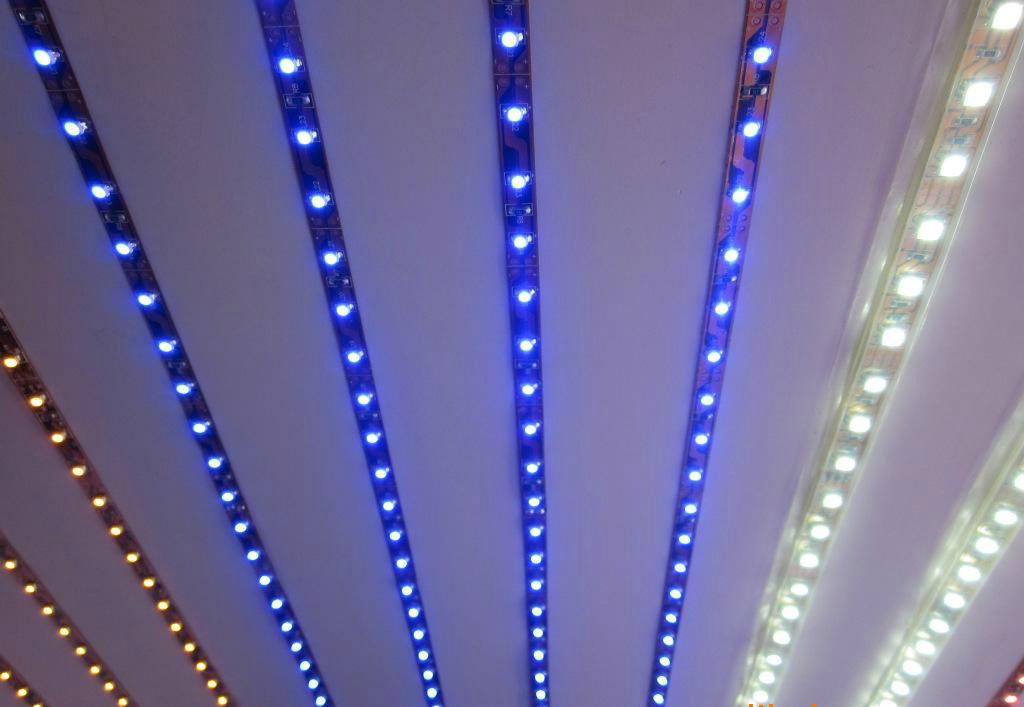 Colorful High Quality Safety Flexible LED Strip Light Water-Proof RGB SMD 4