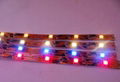 Colorful High Quality Safety Flexible LED Strip Light Water-Proof RGB SMD