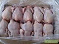 FROZEN HALAL WHOLE CHICKEN and PARTS