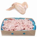 FROZEN HALAL WHOLE CHICKEN and PARTS 2