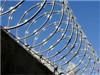 concertina razor wire