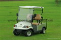  Falcon Brand - Villager type 2 Passenger Golf Cart for golf course(R2)