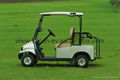  Falcon Brand - Villager type 2 Passenger Golf Cart for golf course(R2) 3