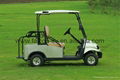  Falcon Brand - Villager type 2 Passenger Golf Cart for golf course(R2) 5