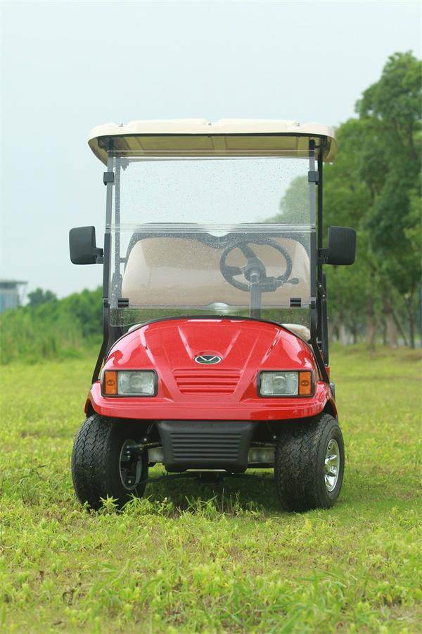  Falcon Brand All Aluminum Electric Utility Vehicle(R4BTB) 3