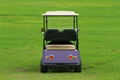 Falcon brand Golf Cart with Solar –