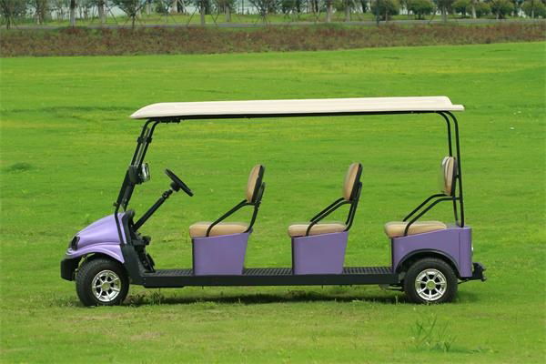  Falcon brand Golf Cart with Solar – Eagle Runabout(M6) 2