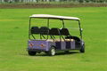  Falcon brand Golf Cart with Solar – Eagle Runabout(M6) 4