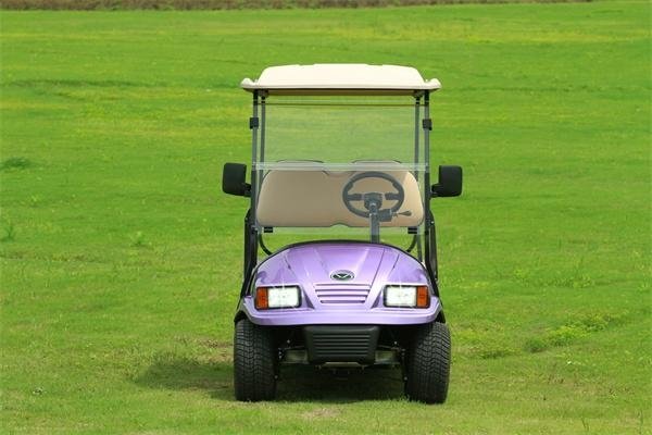  Falcon brand Golf Cart with Solar – Eagle Runabout(M6) 3