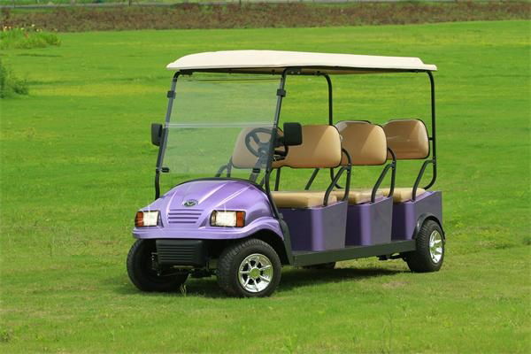  Falcon brand Golf Cart with Solar – Eagle Runabout(M6) 5