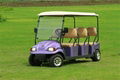  Falcon brand Golf Cart with Solar – Eagle Runabout(M6) 5