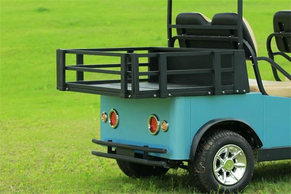 Falcon  Brand 4 Passenger with l   age space electric golf cart(M4SB3)