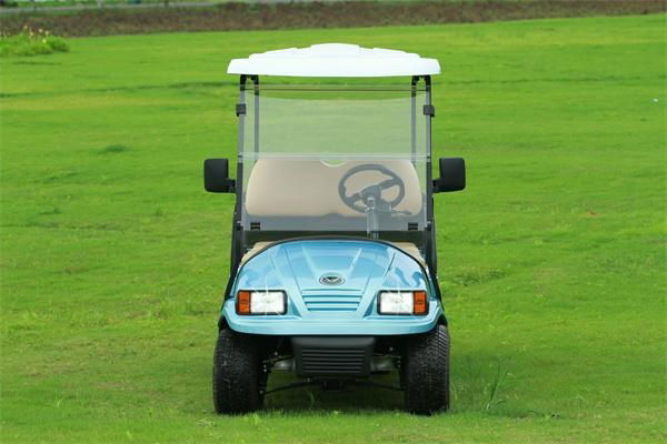 Falcon  Brand 4 Passenger with l   age space electric golf cart(M4SB3) 3