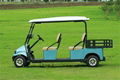 Falcon  Brand 4 Passenger with l   age space electric golf cart(M4SB3) 5