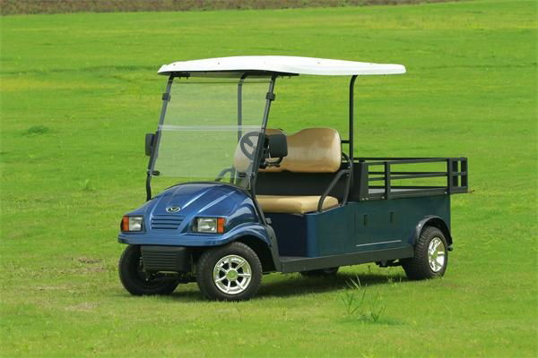 Falcon brand electric golf cart 2 seat with l   age space with AC motor