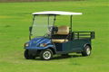 Falcon brand electric golf cart 2 seat