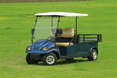 Falcon brand electric golf cart 2 seat