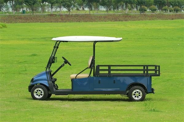 Falcon brand electric golf cart 2 seat with l   age space with AC motor 4