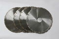 Diamond Blade and Segment for Granite 1