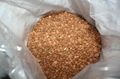 chinese bitter apricot kernel