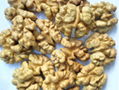 organic walnut kernel 1