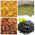 golden raisin with good quality 1