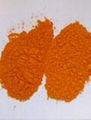 Curcumin 95%