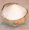 Export Dessicated coconut 1