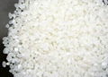 JAPONICA RICE