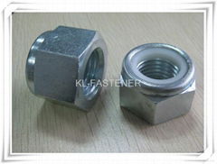 Nylon Lock Nut DIN982 