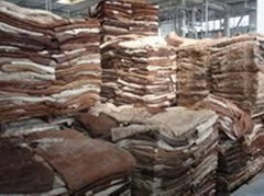 Wet Salted Leather Hides