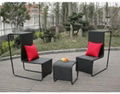 MTC-075 outdoor rattan sofa set