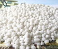 granular ammonium sulphate