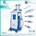 Professional fat Freeze vacuum suction cryo slimming machine with CE approval F-