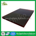 tinted double wall polycarbonate sheet
