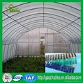 super highly tinted polycarbonate transparent corrugated sheet 3