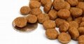 China factory wholesale price dry dog food extruder dog food pellet making machi 2