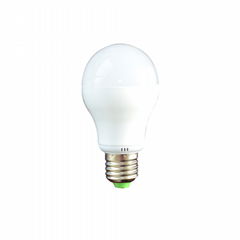 LED bulb