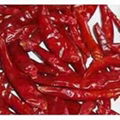 Red Chilli 2