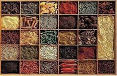 SPICES