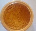 Joyan general grade gold luster mica powder (400 mesh up) for coating etc 2