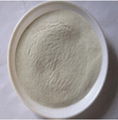 Joyan Cosmetic special grade Silicon-treated Wet Process Mica Powder 1