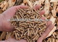 Wood Pellet D:8mmfrom Vietnam 4