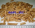 Are you looking for Wood Pellet from VIETNAM? 5