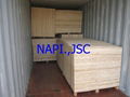 Vietnam Packing Plywood Best Quality 1