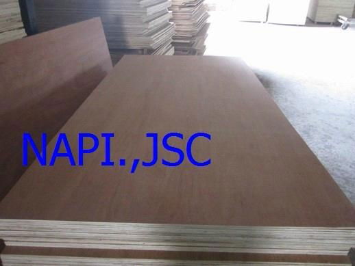 RED color Packing Plywood from Vietnam 3