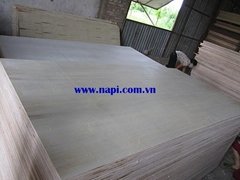 8.0mm B/C Packing Plywood from Vietnam