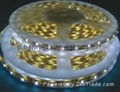 led strip 2