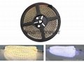 dimmable 3527 LED Strips 600SMD 5M/roll 12v -tape light crystal epoxy waterproof 5