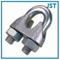 Ustype G209 Screw Pin Anchor Shackle 1